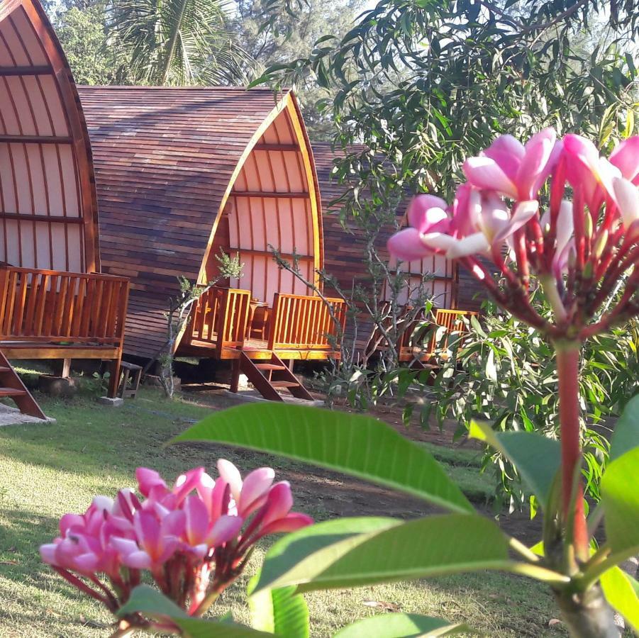 Blue Moon Meno Otel Gili Meno Dış mekan fotoğraf